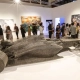 Artsubs
