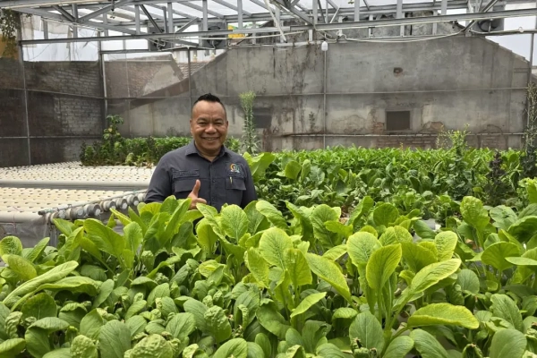 Perkuat Ketahanan Pangan, DPRD Surabaya ajak Warga Terapkan Urban Farming 