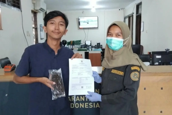 Modal 250 Gram Vanili, Anak Muda Gresik Tembus Pasar Maladewa