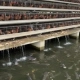 IMG-20261020-WA0000